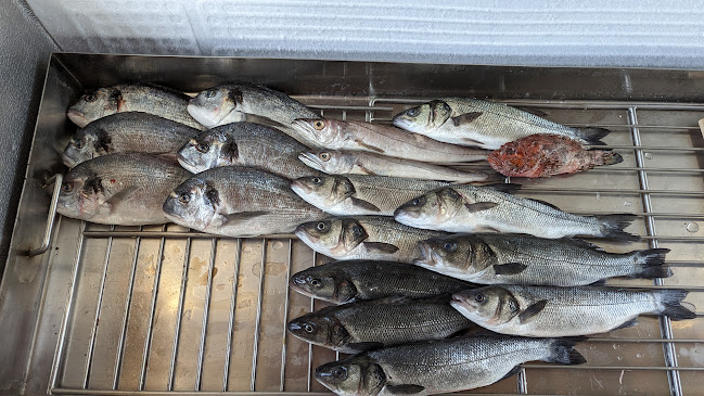 Opinii despre Restoran La Spuž în Betina - Gastronomija i ugostiteljstvo