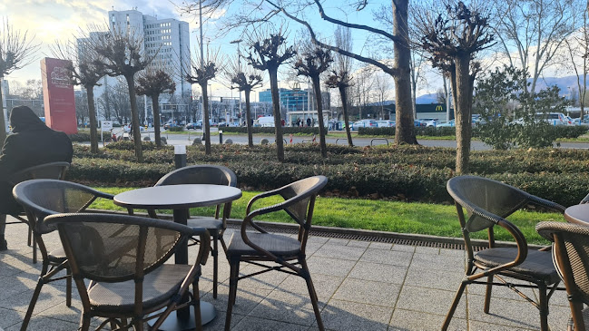 Comentarii opinii despre Ally McBee