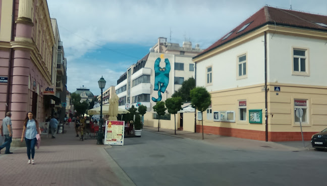 Opinii despre Restoran central în Bjelovar - Gastronomija i ugostiteljstvo