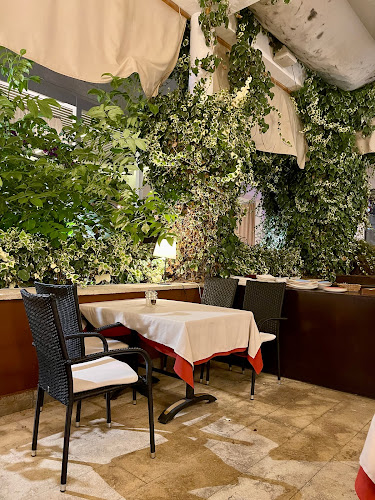 Restaurant & Caffe „Velum“