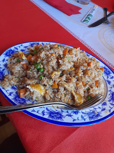 Comentarii opinii despre Bambus Garden