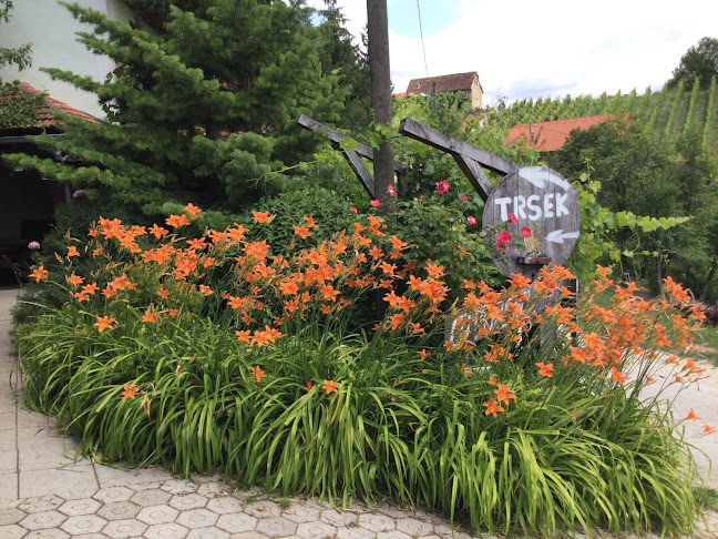 Seljački Turizam Trsek