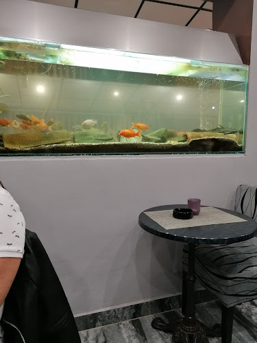 Caffe Bar Centar - Gastronomija i ugostiteljstvo