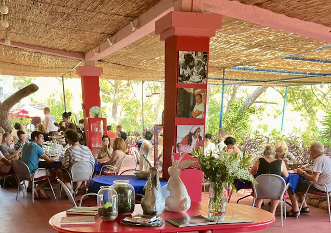 Ristorante Palmizana Meneghello - Gastronomija i ugostiteljstvo