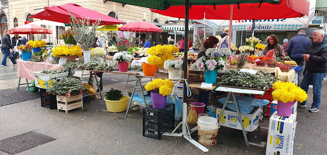 Tržnice Rijeka - Gastronomija i ugostiteljstvo
