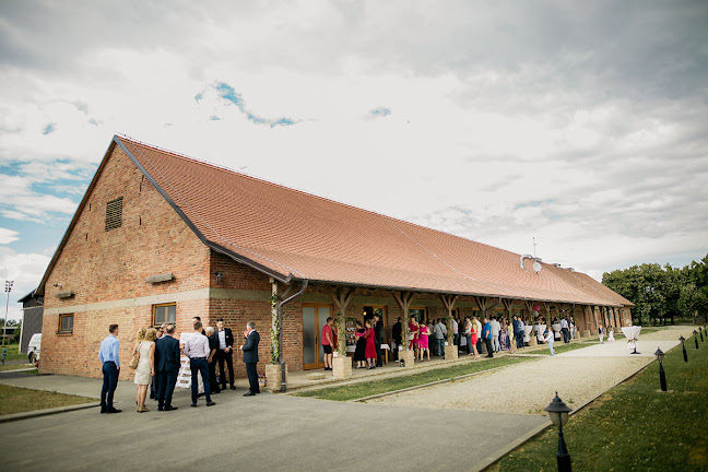 Restoran Crna svinja - Čepin