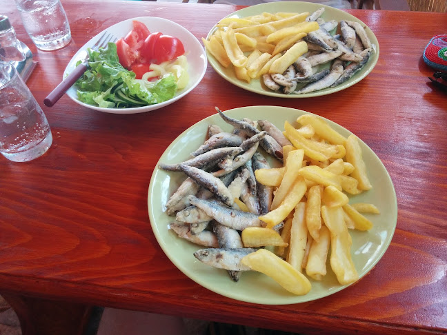 Beach Bar Paja - Gastronomija i ugostiteljstvo