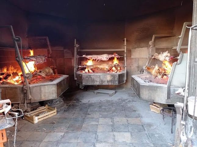 Opinii despre Restoran Tamaris în Zadar - Gastronomija i ugostiteljstvo