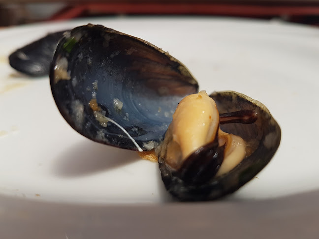 Villa Romana - Poreč