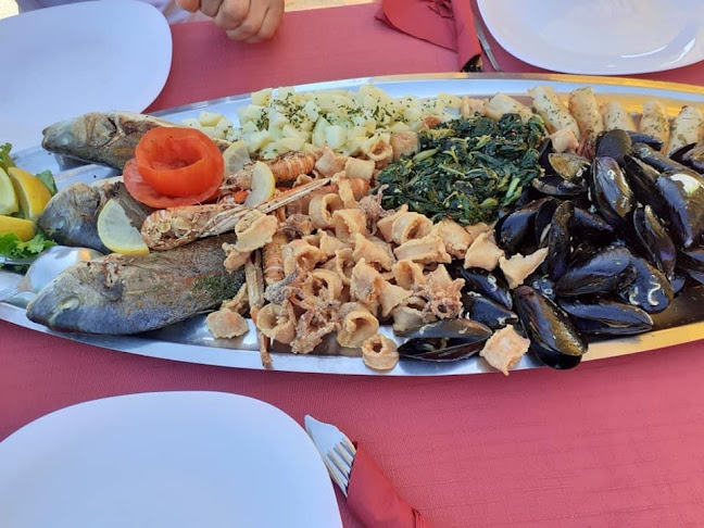 Comentarii opinii despre Terra Istriana