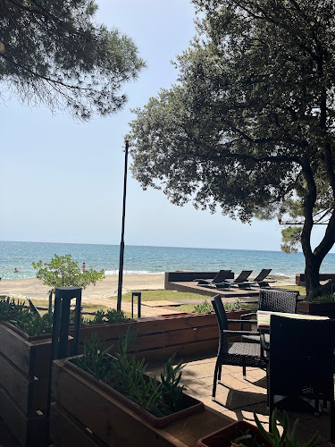 Shark restaurant and bar