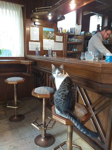 Comentarii opinii despre CAFFE - BAR AS, VL. IVANA PROTUĐER