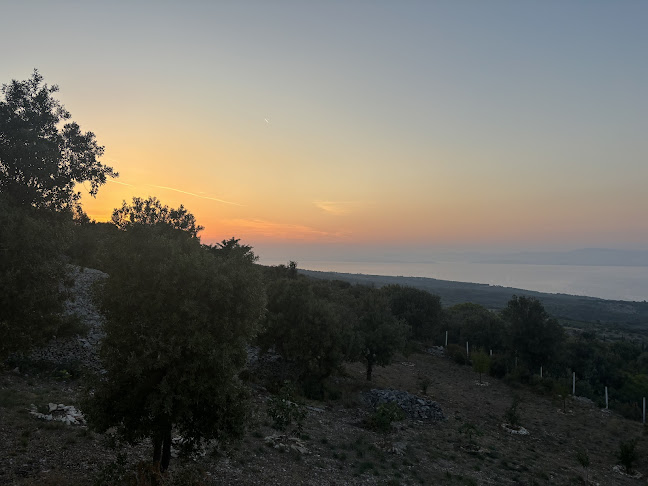 Put kuprija 50, 21410, Škrip