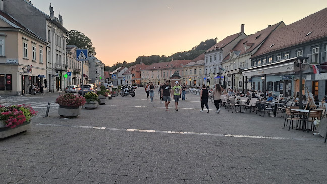 Trg kralja Tomislava 10, 10430, Samobor