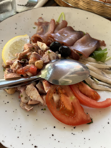 Comentarii opinii despre Tinel Split