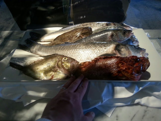 "Žardin" Traditional Restaurant - Gastronomija i ugostiteljstvo