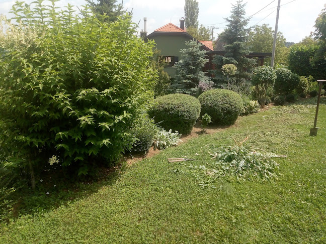 Dugava 35, 10430, Molvice