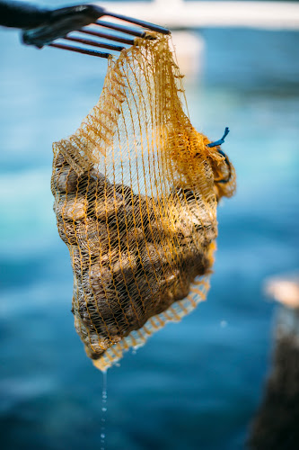 Luka's Taverna Kobaš - Ston