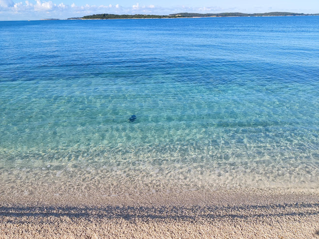 Comentarii opinii despre Palačinka j.d.o.o