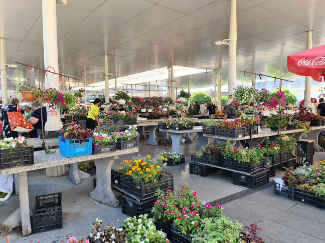 Opinii despre Gradska Tržnica în Slavonski Brod - Gastronomija i ugostiteljstvo