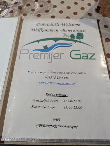 Comentarii opinii despre Restoran Premijer Gaz