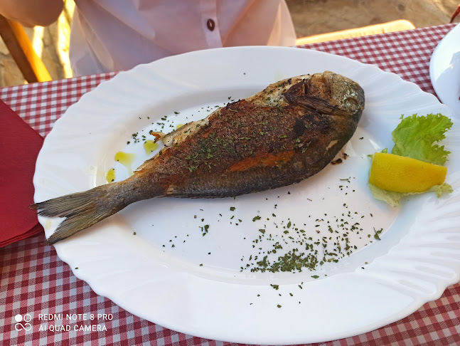 Terra Istriana - Banjole