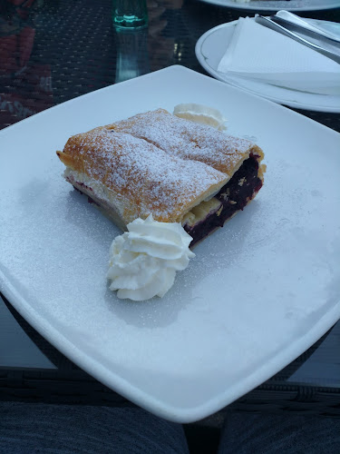 Comentarii opinii despre Pansion Lovački