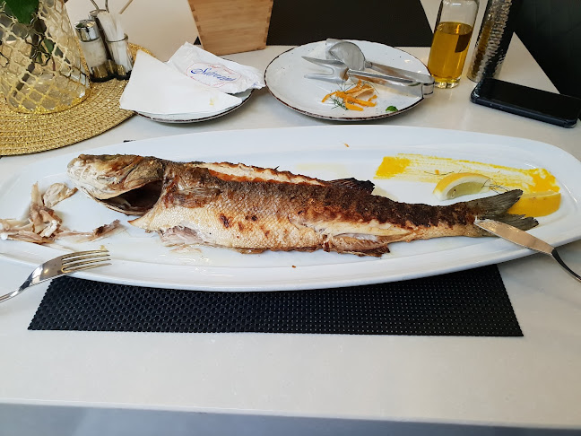 Comentarii opinii despre Ivo