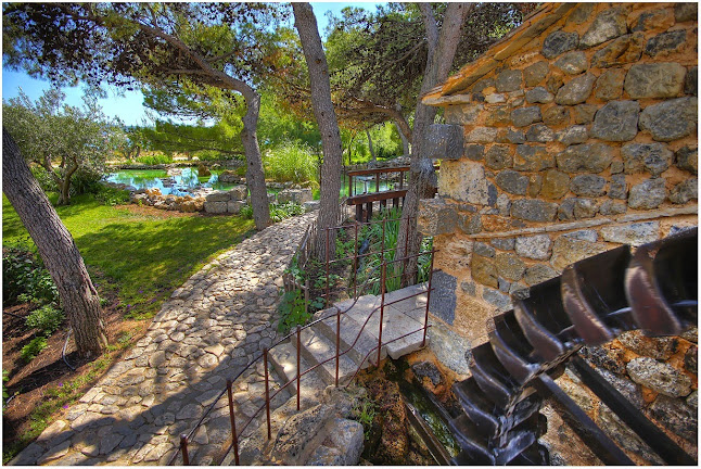 Dalmatian Ethno Village - Gastronomija i ugostiteljstvo