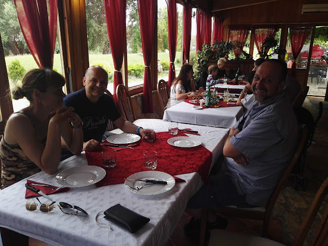 Restoran Premijer Gaz - Trilj