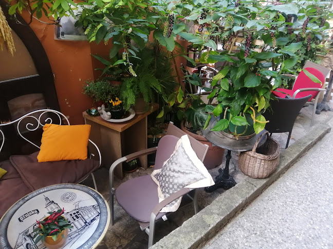 Caffe Bars Domus - Zagreb