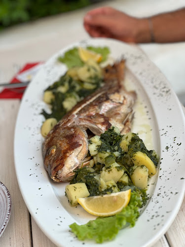 Comentarii opinii despre Gatto Blu novigrad