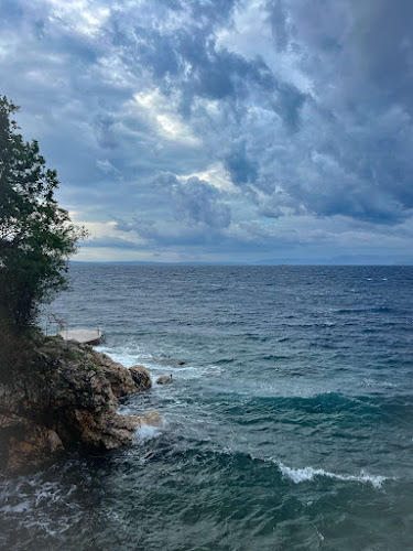 Comentarii opinii despre Mosquito Bar