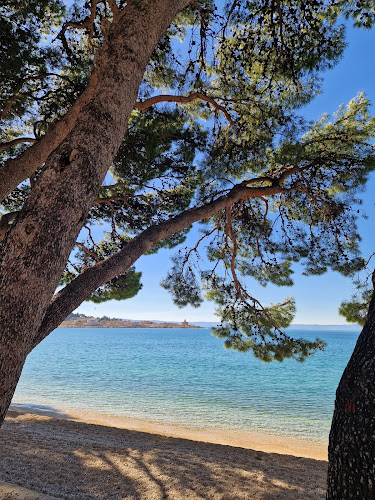 Comentarii opinii despre Restoran Bounty