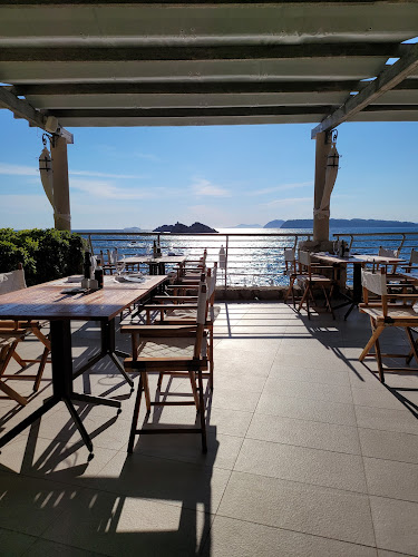 Comentarii opinii despre Maslina Tavern