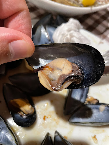 Opinii despre Tri Palme în Novigrad - Gastronomija i ugostiteljstvo