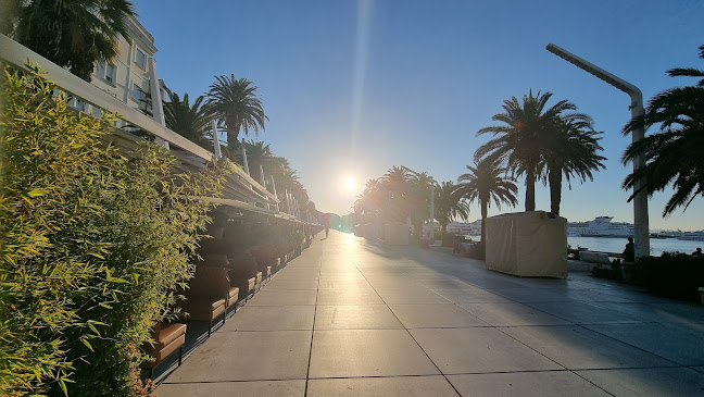 Comentarii opinii despre Fro