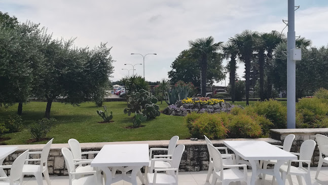 Kafić Blue Centar - Gastronomija i ugostiteljstvo