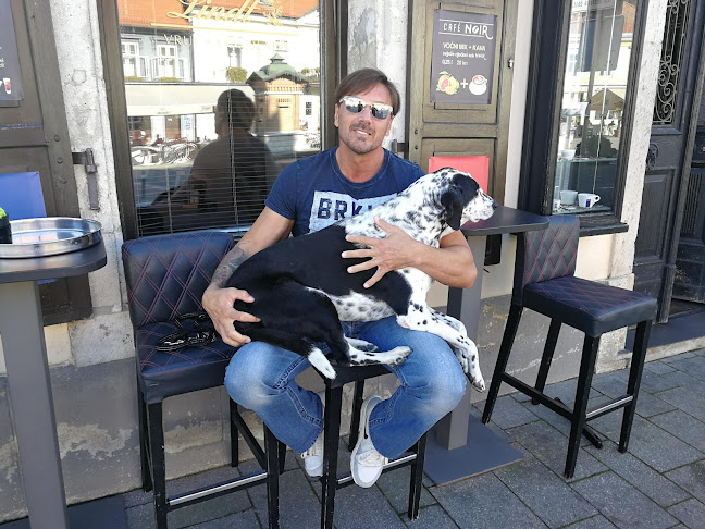 Trg kralja Tomislava 10, 10430, Samobor