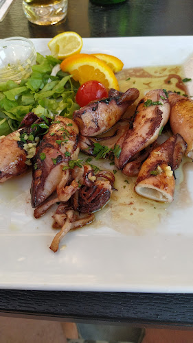 Comentarii opinii despre Reflektor - Murter