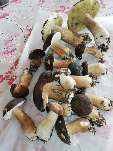 Caffe Bar Sunce - Poreč