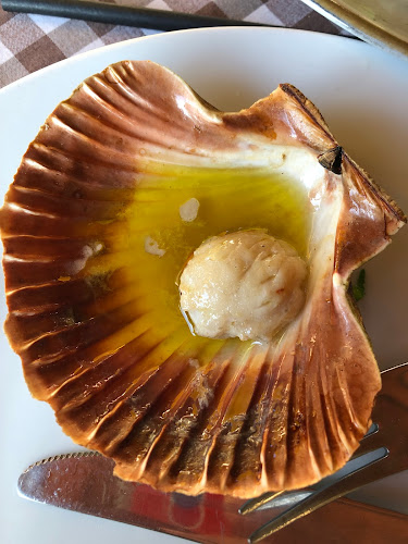 Comentarii opinii despre Tri Palme