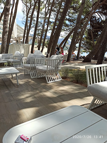 Beach bar "Pink Cricket"