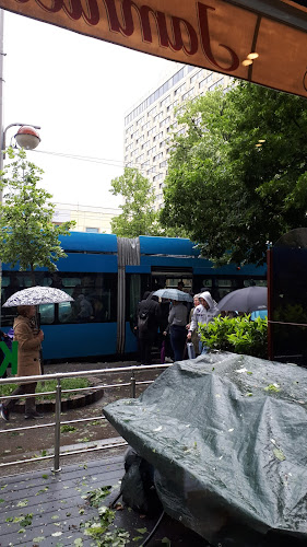 Savska cesta 13, 10000, Zagreb