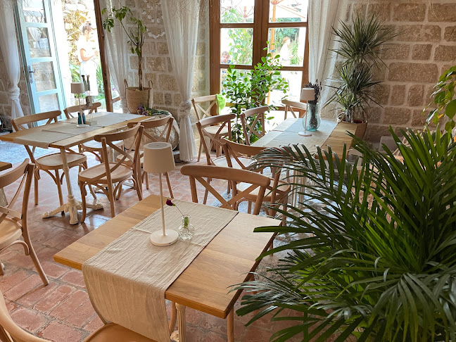 Comentarii opinii despre Capo Fronte