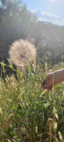 Caffe bar Beguša - Gastronomija i ugostiteljstvo