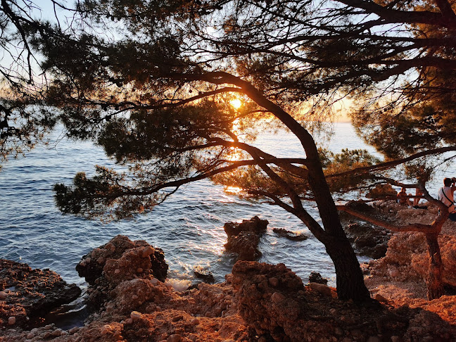 Put Cvitačke 48, 21300, Makarska