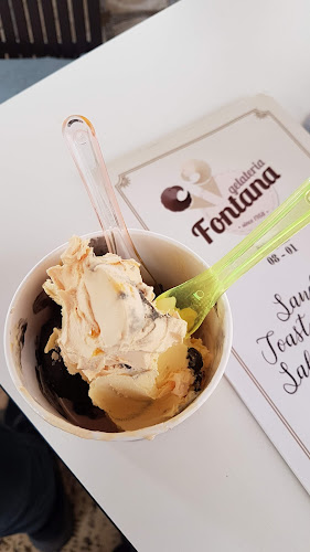 Comentarii opinii despre Gelateria Fontana