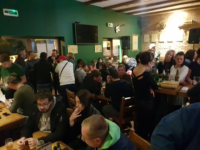 Comentarii opinii despre Beer Garden - pivnica