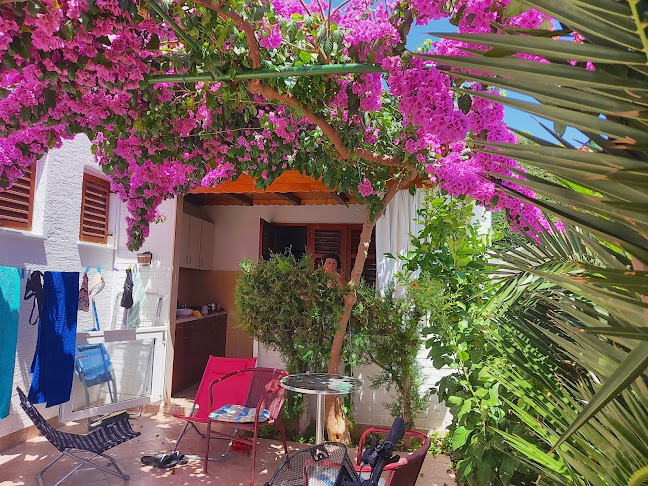 Apartments Adelheid, Biograd - Gastronomija i ugostiteljstvo